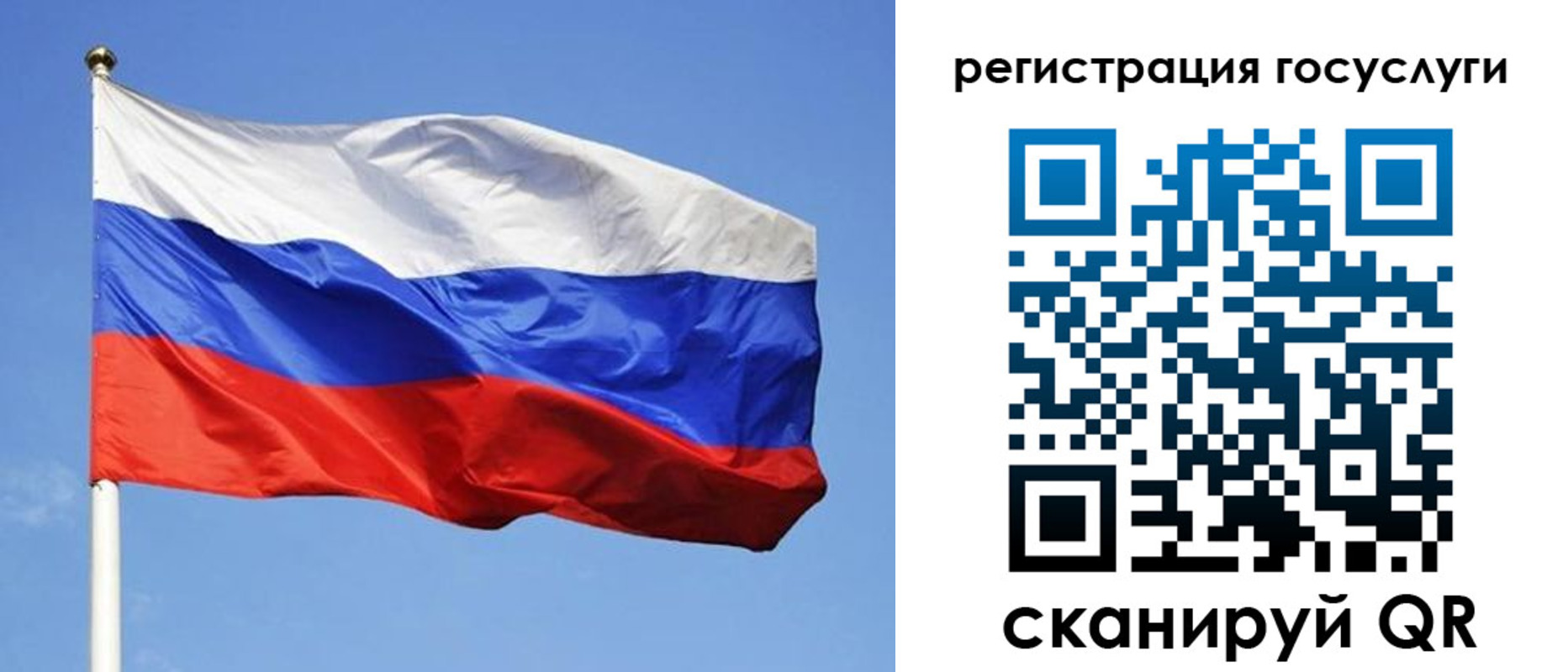 временная регистрация адрес в Кингисеппе
